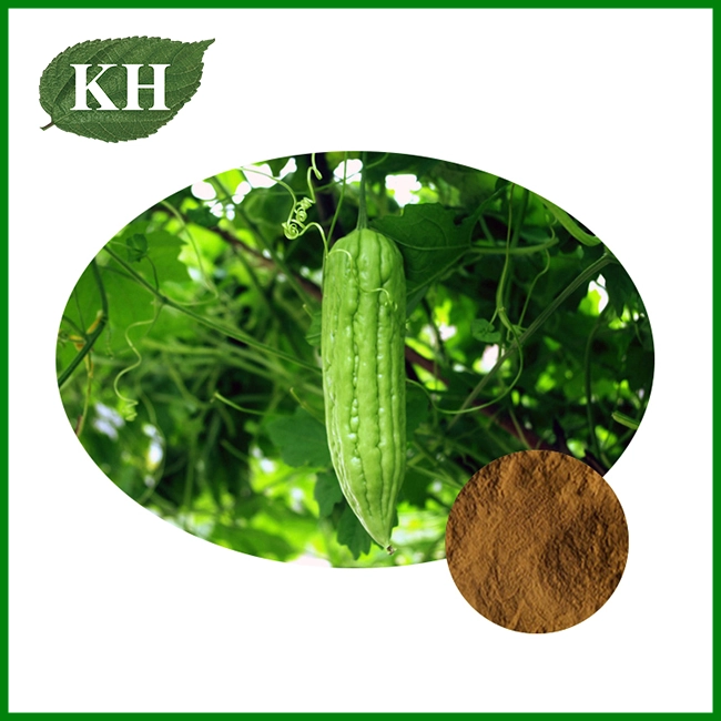 Bitter Melon Extract Powder